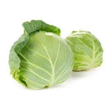 Cabbage (24)-8135032-8527.webp